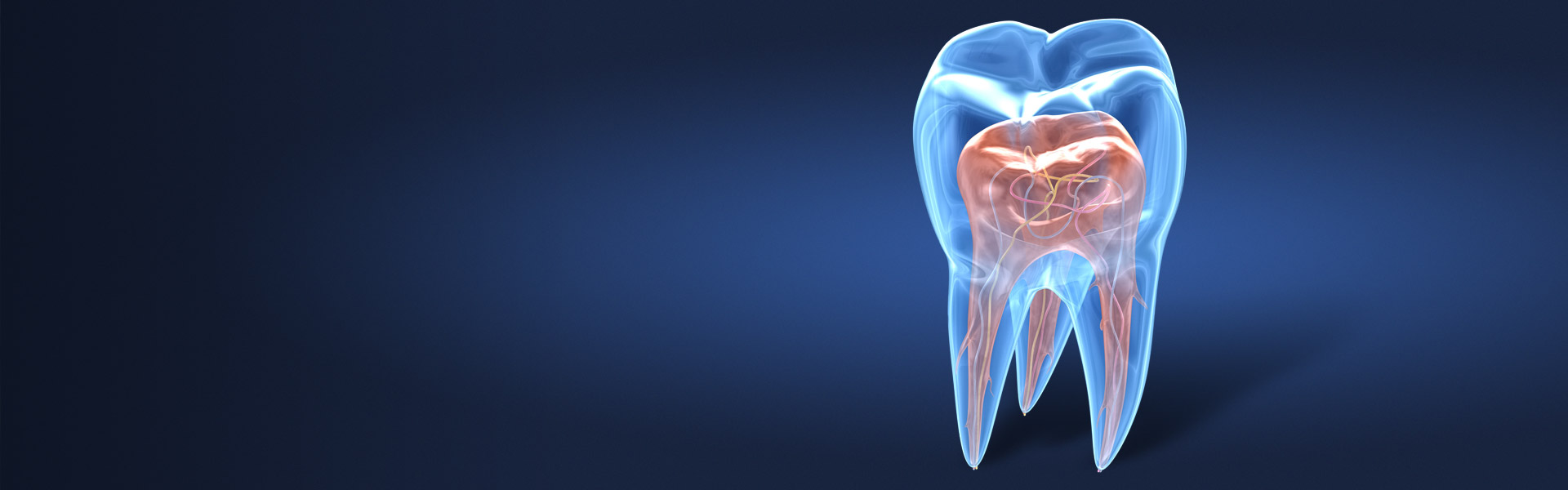 Erhaltung des eigenen Zahns
